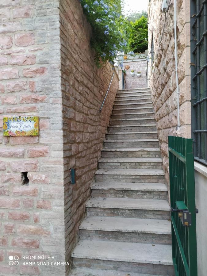 Ferienwohnung Eden House Assisi Exterior foto